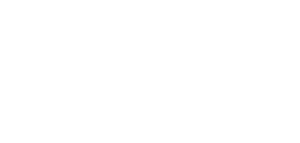 The Decisive Point Logo